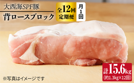 12回定期便 大西海SPF豚 背ロースブロック 計1.3kg 訳あり ＜大西海ファーム [CEK117] 豚肉ブロック 豚肉