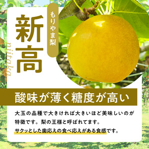びわこもりやまフルーツランド  もりやま梨　新高詰め合わせ  完熟採り　生産農家直送 CV-0014