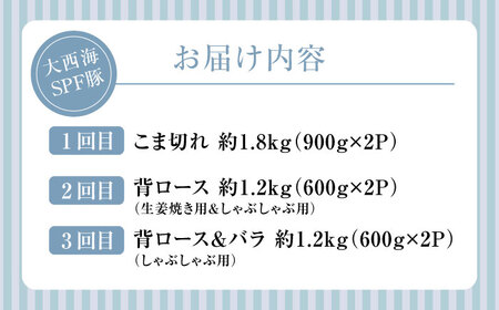 3回定期便 大西海SPF豚 便利 3種セット 総計4.2kg 訳あり ＜大西海ファーム＞ [CEK182] 定期便