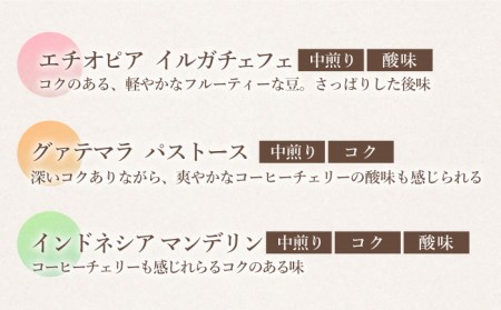 【飲み比べ】 ドリップバック 自家焙煎 コーヒー 100袋（5種類×20袋） ＜giko coffee＞ [CFK010]コーヒー 自家製コーヒー