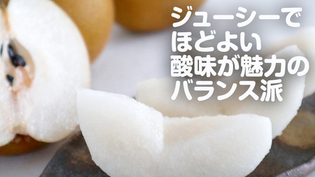 梨 豊水 約5kg（10～16個）【2026年9月より発送開始】（茨城県共通返礼品 [梨]：大子町産）