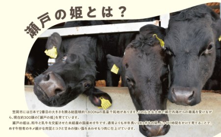 瀬戸の姫 300g（焼肉用） 牛肉 肉