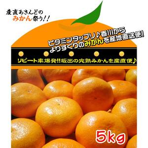 ≪先行受注≫温州みかん 香川産 約5kg ( S ～ Lサイズ ) ｜ みかん 味濃い