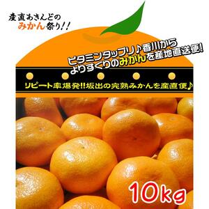 ≪先行受注≫温州みかん 香川産 約10kg ( S ～ Lサイズ ) ｜ みかん 味濃い