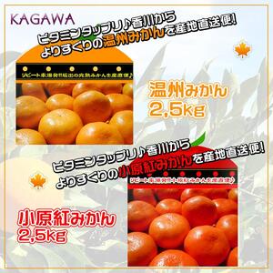 ≪先行受注≫小原紅早生 & 完熟温州 セット 約5kg ( 小原紅早生みかん約2.5kg & 完熟温州みかん約2.5kg ) S ～ Lサイズ ｜ みかん