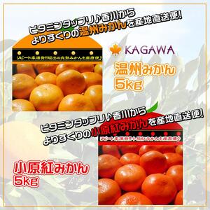 ≪先行受注≫小原紅早生 & 完熟温州 セット 約10kg ( 小原紅早生みかん約5kg & 完熟温州みかん約5kg ) S ～ Lサイズ ｜ みかん
