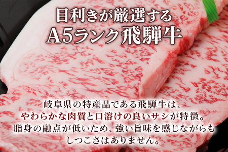 [A5等級]  飛騨牛 サーロインステーキ400g(200g×2枚) [0834] 飛騨牛 トキノ屋食品