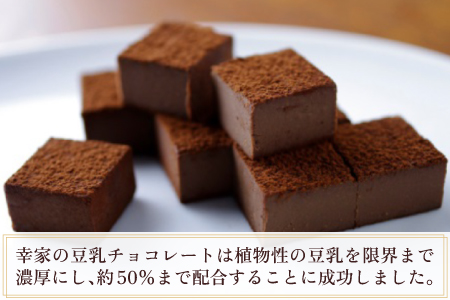 生クリーム以上の深いコク！豆乳チョコレート 9粒×2箱 [A-013005] バレンタイン チョコ 洋菓子 濃厚 生チョコ 豆乳 バレンタインデー ホワイトデー 福井県 永平寺