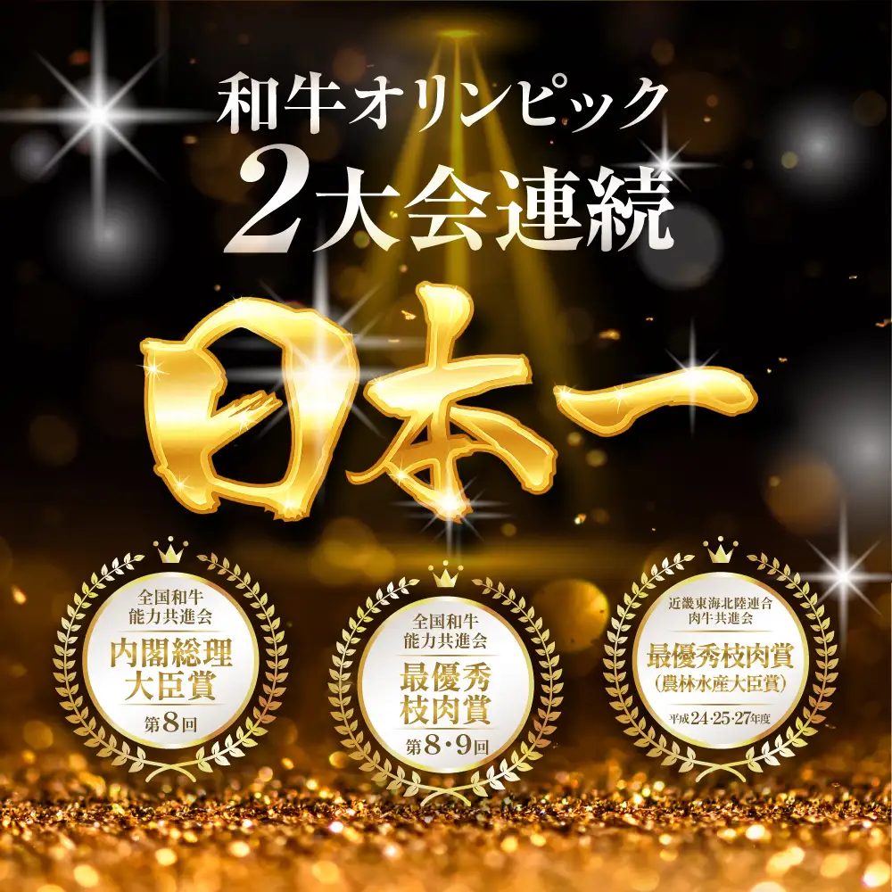 飛騨牛 A5 厚切りサーロイン 2枚 560g｜サーロイン