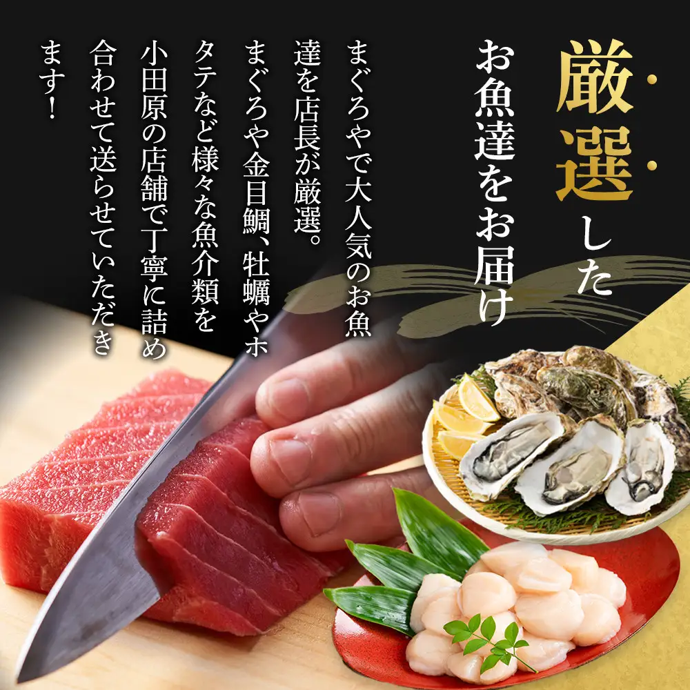 【定期便隔月2回】まぐろや　特別セット【 惣菜 まぐろ 鮪 本鮪 サーモン 海老 お刺身 海鮮 セット 福袋 キンメ きんめ お取り寄せ 御中元 お中元 お歳暮 父の日 母の日 贈り物 日本酒 焼酎】【 神奈川県 小田原市  海鮮 海鮮 】