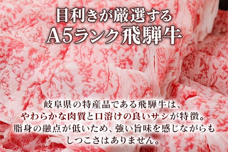 [6ヶ月定期便][A5等級] 飛騨牛肩ロース すき焼き ・しゃぶしゃぶ用600g [0869] すき焼き トキノ屋食品