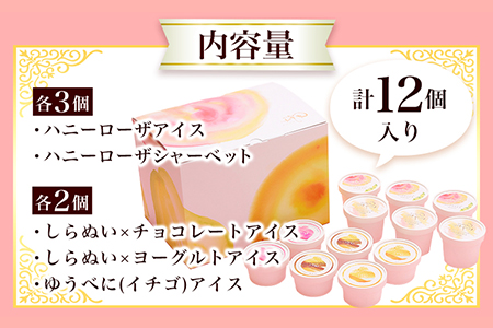 ぎょくとうセレクト アイスアソートセット 12個(全5種)《60日以内に出荷予定(土日祝除く)》 熊本県玉名郡玉東町 すもも ハニーローザ いちご イチゴ いちご しらぬい 不知火 チョコ チョコレート ヨーグルト アイス シャーベット ぷらっとぎょくとう 