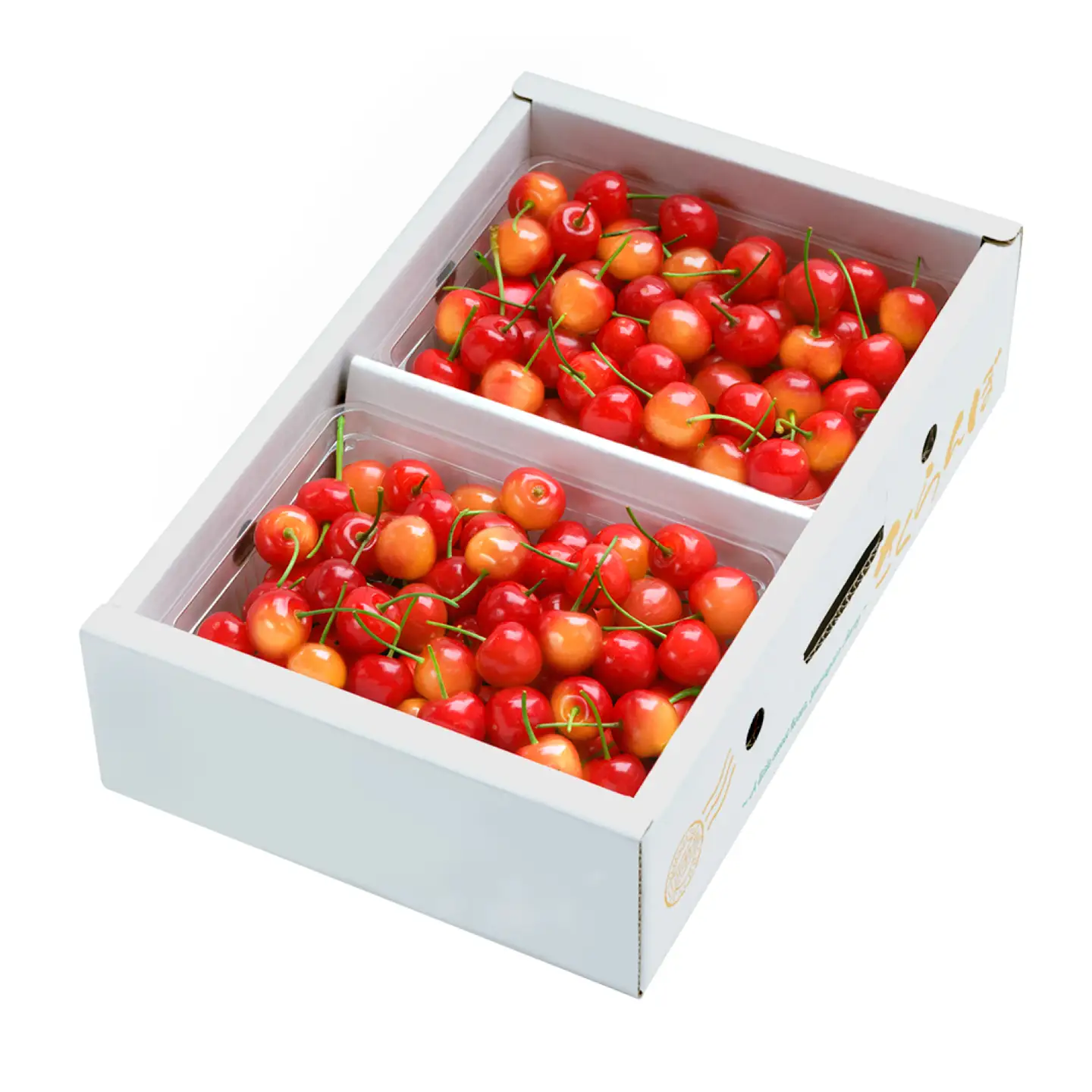 令和8年産 さくらんぼ 佐藤錦 秀L 1kg ns-snslb1