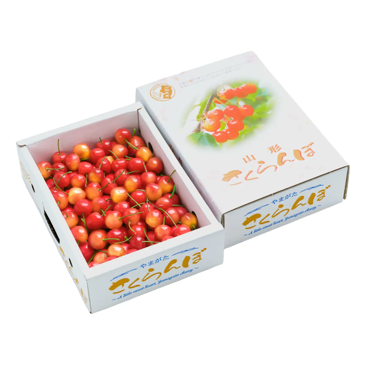 令和8年産 さくらんぼ 佐藤錦 秀M 1.2kg ns-snsmb1200