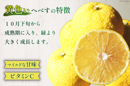 【期間限定発送】 おひさまへべす ひなたGAP認定 ふぞろい 2kg [へべすの悠美園 宮崎県 日向市 452060723]