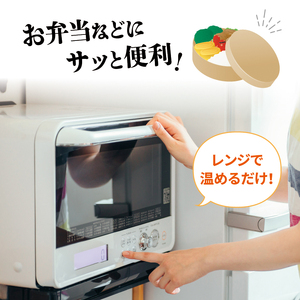 ごぼう天ぷら 250g×4袋 ＼ ごぼう ／