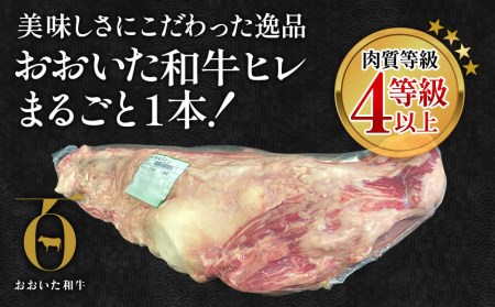 おおいた和牛 ヒレ 肉 1本 (4kg以上) | ヒレ 津久見市