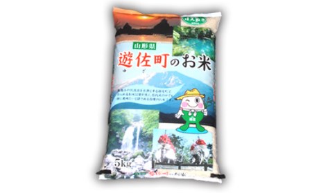 【定期便】山形県産 はえぬき 5kg×5ヶ月連続（計25kg） F2Y-4587
