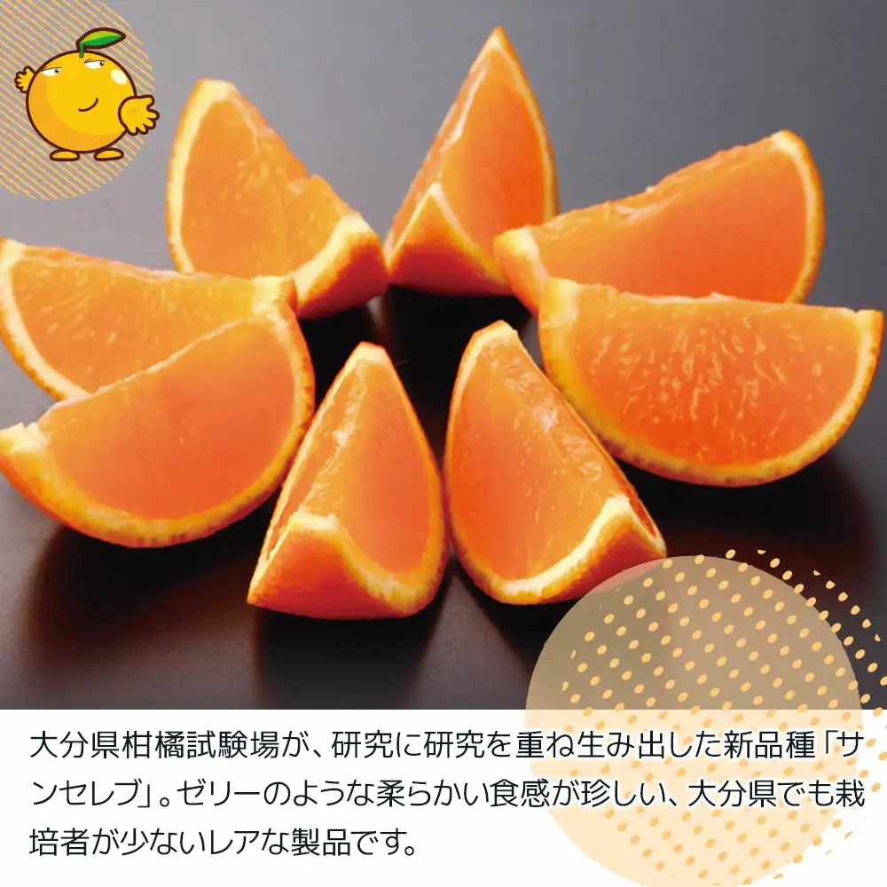 まるでゼリーのようなプルプル食感!サンセレブ約3kg(化粧箱) みかん ミカン | 津久見市