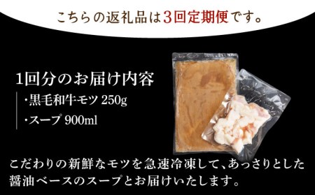 【全3回定期便】佐賀県黒毛和牛 もつ鍋セット2?3人前 HAD140 