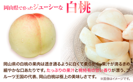 白桃 8玉 【配送不可地域あり】桃　等級ロイヤル