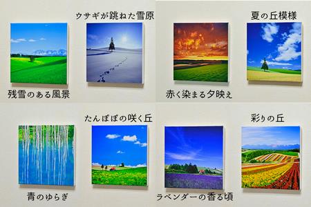 写真家　阿部俊一　キャンバスプリント(273mm × 273mm)[036-28]