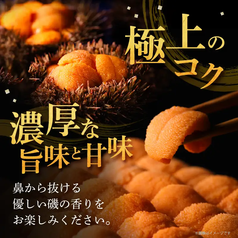 生折うに 120g×1枚 うに 冷蔵_H0009-101