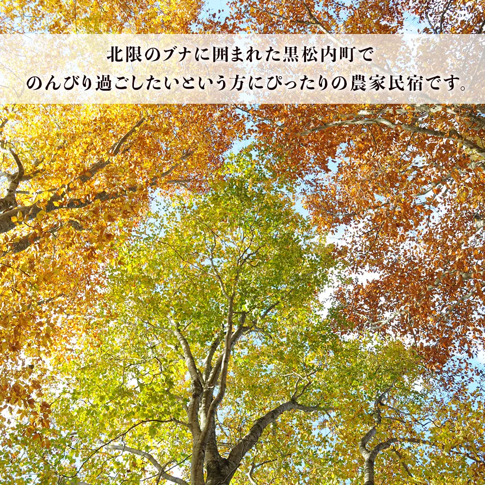 黒松内の農家民宿「ふぁーむいん冨田」1泊2食(夕・朝)宿泊券 1名様
