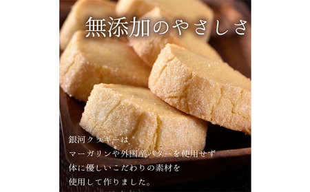 クッキー缶 銀河 クッキー ネコとリス缶 無添加 バタークッキー チョコクッキー