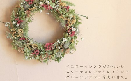 富良野 花七曜 アブリコ ◆ ドライフラワーリース 植物 インテリア スターチス ラグラス グリーンアナベル ナチュラル ディスプレイ プレゼント 