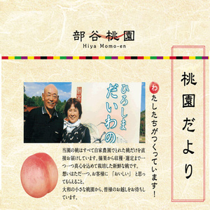 【先行受付】数量限定☆ 部谷桃園 ひろしま大和の桃 9～10個セット 2026年7月下旬以降発送予定 果物 フルーツ デザート 食後 旬の桃 旬の果物 旬のフルーツ 新鮮 夏 夏の果物 067002