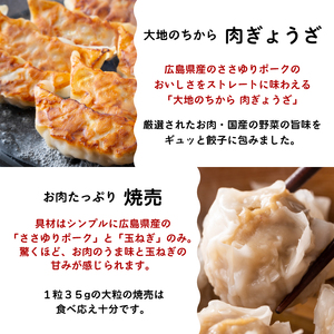 paoの無添加中華惣菜セットL(合計2.9kg) お惣菜 中華料理 ギョーザ シューマイ ぎょうざ しゅうまい 肉餃子 野菜餃子 焼売 ワンタン 夕飯 一品料理 おかず 詰め合わせ 化学調味不使用 食品添加物不使用 058002
