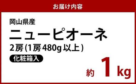 【先行予約】岡山県産 ニューピオーネ 2房（1房480g以上）約1kg 【2026年8月下旬～10月上旬まで順次発送予定】化粧箱入り【 ニューピオーネ 人気フルーツ 岡山フルーツ おすすめフルーツ 岡山県 倉敷市】