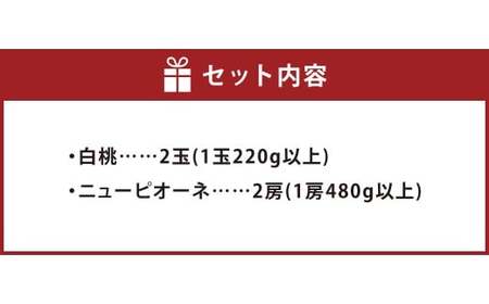 【先行予約】岡山県産 詰合せ／白桃2玉とニューピオーネ2房 化粧箱入り【2026年7月下旬～8月上旬まで順次発送予定】【もも 桃 白桃 ぶどう ニューピオーネ 果物 フルーツ 国産 人気 おすすめ 岡山県 倉敷市】