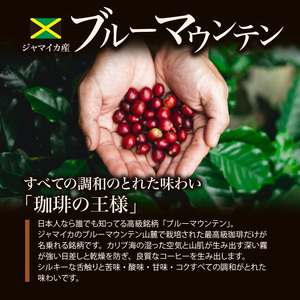 ブルーマウンテン100g＆ハワイコナコーヒー100g 定期便3ヶ月コース 粉コース_定期便 3ヶ月 コーヒー 粉 各 100g 2種 3回 計 600g ブルーマウンテン ハワイコナコーヒー 珈琲の王様 シルキーな舌触り 苦味 酸味 甘味 コク 調和がとれた味わい スッキリ 雑味の少ない フルーツ酸 特徴 酸味の女王 お取り寄せ 送料無料 〔Ec109-P〕