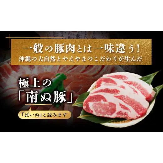 石垣島産 やえやまファームのアグ―豚（南ぬ豚）ハンバーグ10個セット 　E-8-1