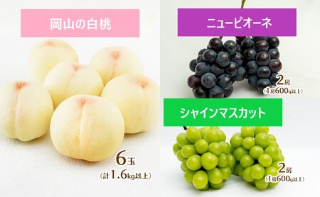 フルーツ 定期便 2026年 先行予約 フルーツ王国 岡山 厳選 果物 （7月 9月 10月）3回コース 桃 ぶどう