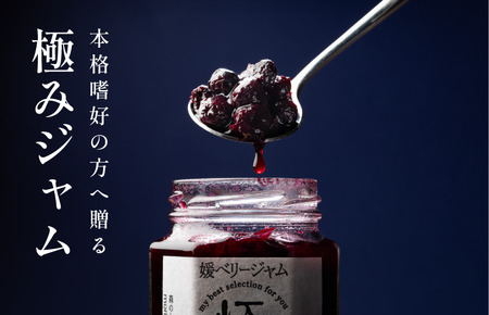 媛ベリージャム極（森のとだち農園玉川町） [VB00160]
