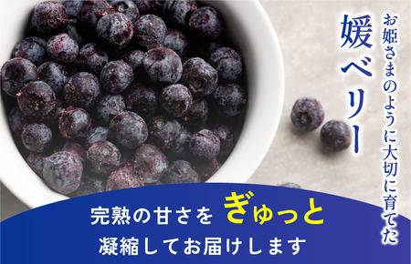 森のともだち農園　冷凍ブルーベリー（スタンディングパック）１５０ｇ×３パック【V003270P3】