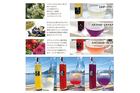 レモンコーディアル・レギュラーボトル3本セット [VC01110]
