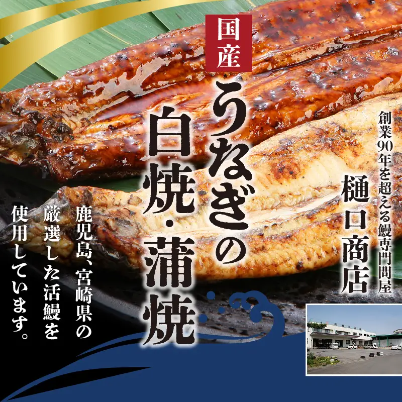 うなぎの白焼・蒲焼セット（特大サイズ 一尾 170g～200g）_国産 うなぎ 白焼 蒲焼 セット 特大 一尾 170g～200gずつ 食べ比べ 濃厚 甘み タレ グルメ 食品 加工品 魚 魚介類 おかず 惣菜 ご飯のお供 酒の肴 冷凍 パック 樋口商店 うなぎ白焼き 福岡県 久留米市 お取り寄せ お取り寄せグルメ 送料無料 〔Cu003〕