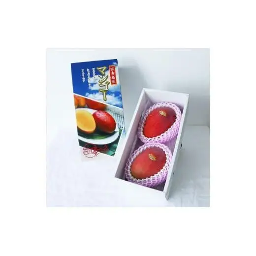 《先行予約》沖縄県宮古島産 減農薬栽培マンゴー 1kg【最良品】｜贈答用・糖度15度以上！｜琉球マルシェ