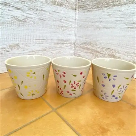 ハイミニフルール　3個セット【オススメ観葉植物でお届け】【1358450】