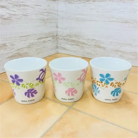 ハイミニアロハ　3個セット【オススメ観葉植物でお届け】【1358771】