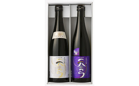 東の麓 天弓虹セット 「純米大吟醸 天弓 藍天 ＆ 純米吟醸 山廃仕込み 天弓 喜雨」 各720ml 『東の麓酒造』 日本酒 2本セット 飲み比べ 山形県 南陽市 [1722]