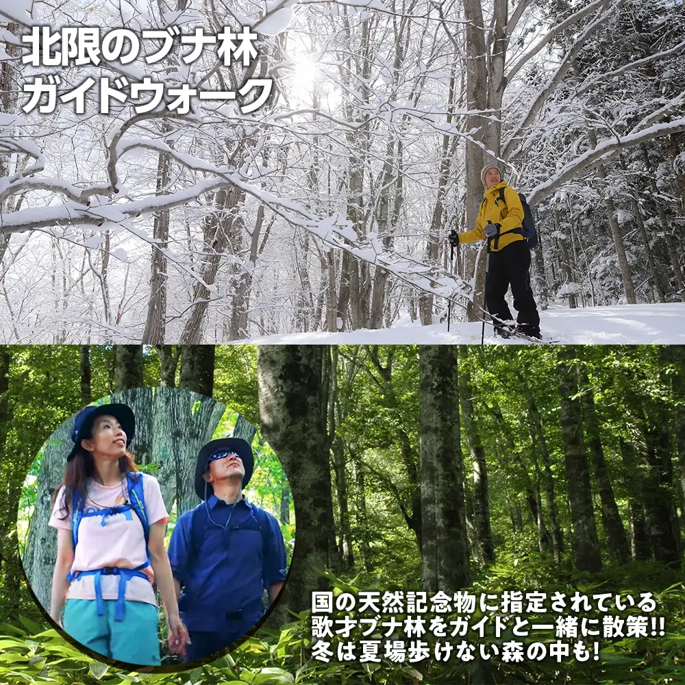 黒松内 アクティビティチケット 3000円分利用券