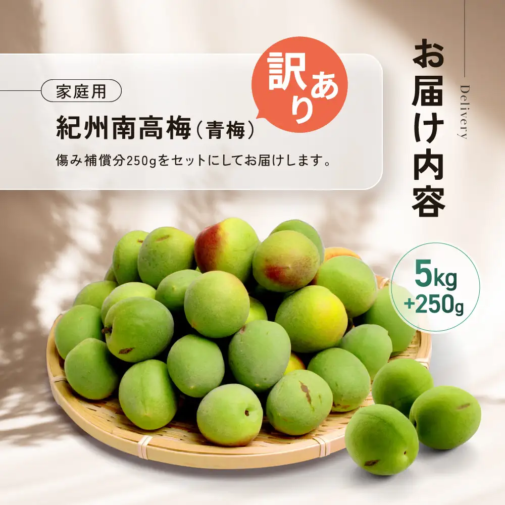 家庭用 紀州南高梅(青梅)5kg+250g（傷み補償分）【梅干し・梅ジュース】【訳あり】［IKE113］