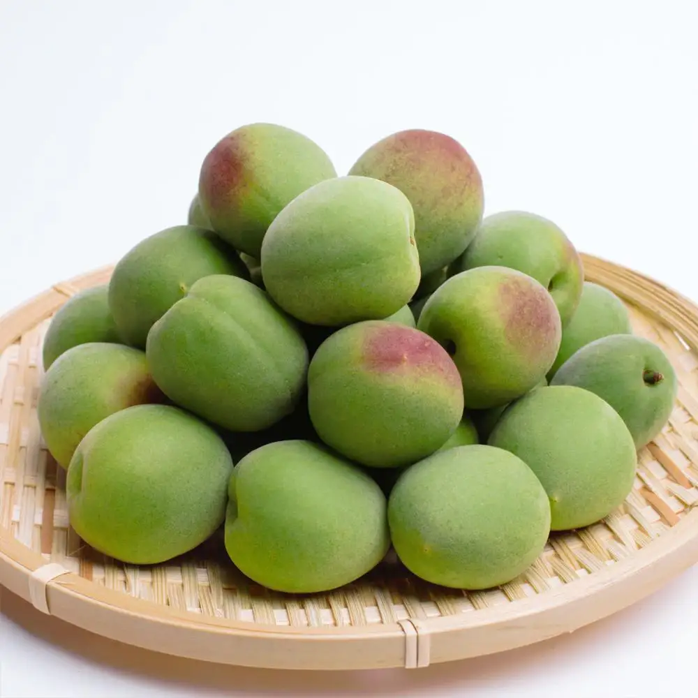 厳選 紀州南高梅(青梅)2kg+250g（傷み補償分）【梅干し・梅酒・梅ジュース】［IKE114］