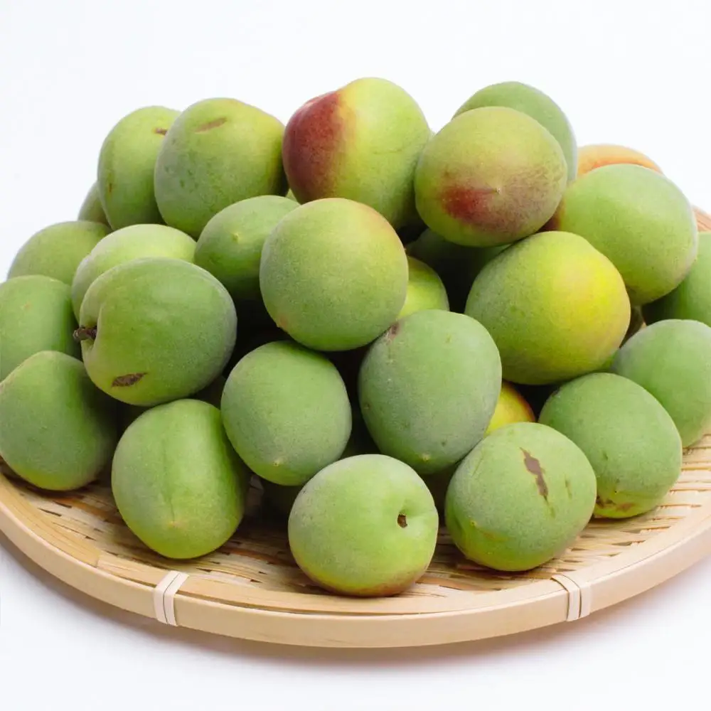 家庭用 紀州南高梅(青梅)3kg+250g（傷み補償分）【梅干し・梅ジュース】【訳あり】［IKE112］