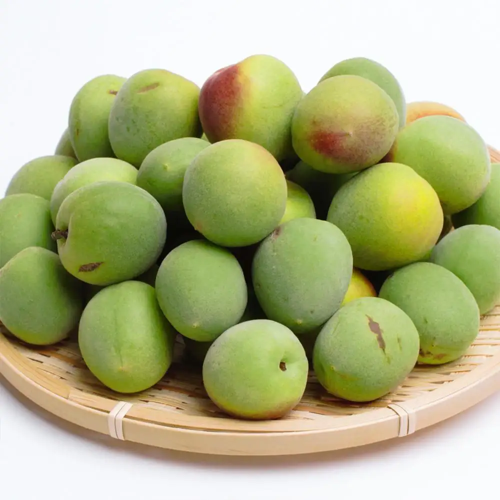 家庭用 紀州南高梅(青梅)5kg+250g（傷み補償分）【梅干し・梅ジュース】【訳あり】［IKE113］